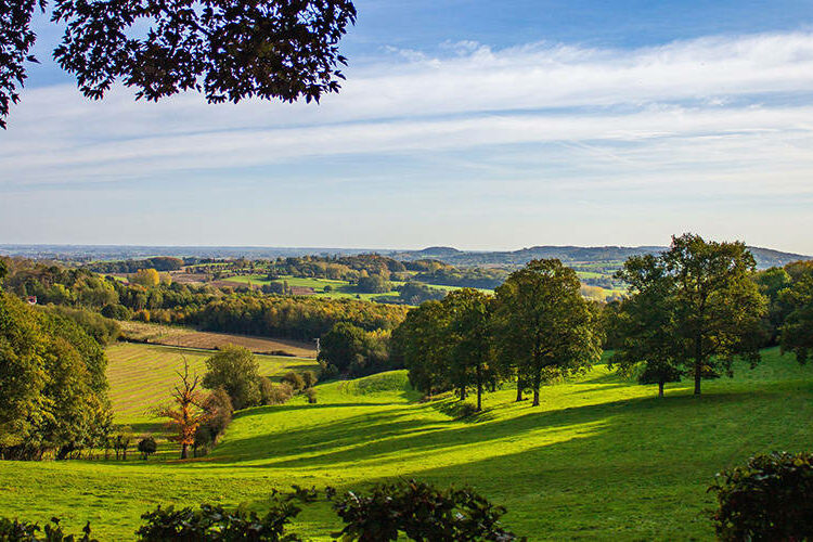 Paysage vue du Mont des Cats (Flandres)